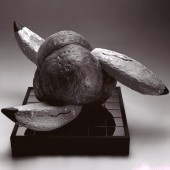 The Forrest L. Merrill Collection, Dane Cloutier Archives