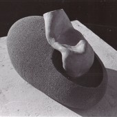 The Forrest L. Merrill Collection, Dane Cloutier Archives