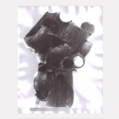 The Forrest L. Merrill Collection, Dane Cloutier Archives