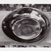 The Forrest L. Merrill Collection, Dane Cloutier Archives