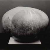 The Forrest L. Merrill Collection, Dane Cloutier Archives